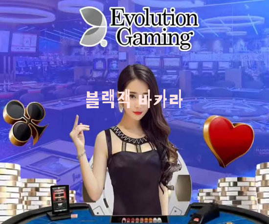 국내 온라인카지노