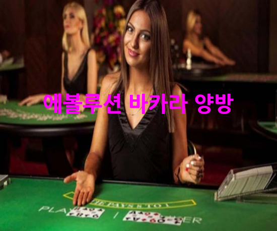 카지노검증업체