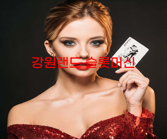 메이저 바카라사이트