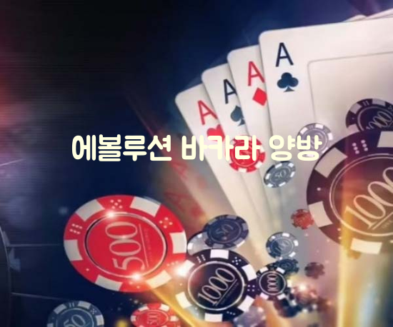 메이저 바카라사이트